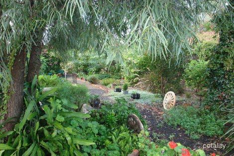 Property photo of 30829 Mitchell Highway Charleville QLD 4470