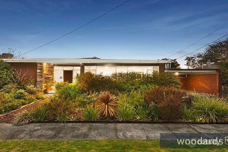 Property photo of 31 Pasadena Crescent Bentleigh East VIC 3165