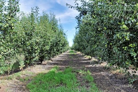 Property photo of 185 Prentice Road Orrvale VIC 3631