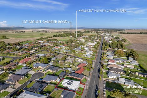 Property photo of 137 Mount Gambier Road Millicent SA 5280