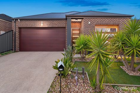 Property photo of 6 Brambuk Avenue Craigieburn VIC 3064