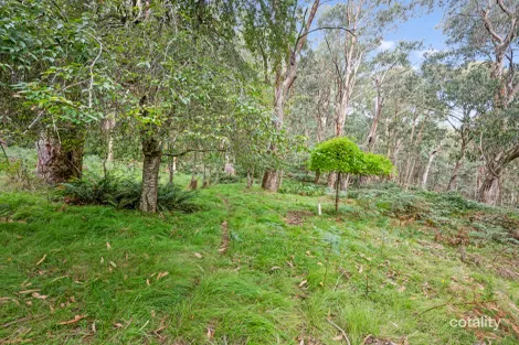 Property photo of 62 Shane Lane Tolmie VIC 3723