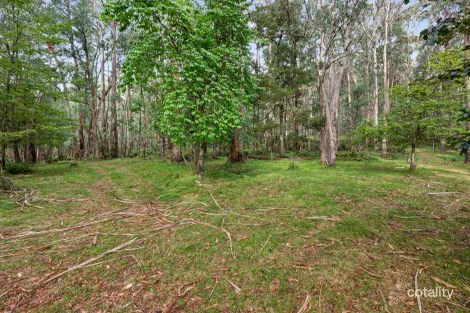 Property photo of 62 Shane Lane Tolmie VIC 3723