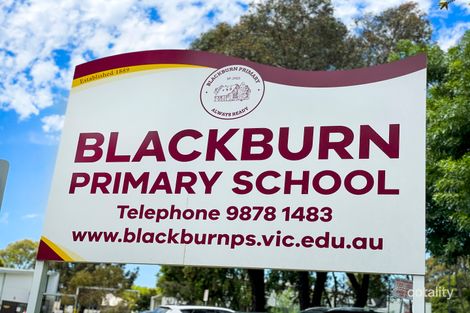 Property photo of 45 Maple Street Blackburn VIC 3130