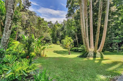 Property photo of 49 Butler Drive Kuranda QLD 4881