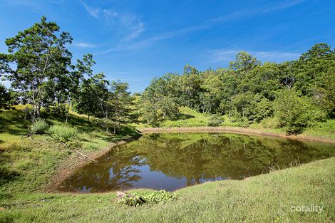 Property photo of 161 Tweedies Road Hampden QLD 4741