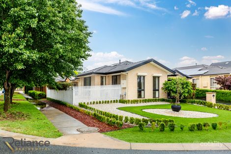 Property photo of 34 Alice Cummins Street Gungahlin ACT 2912