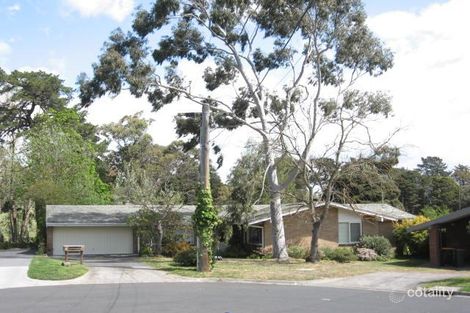 Property photo of 7 Yatama Court Mount Waverley VIC 3149