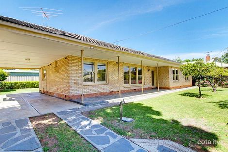 Property photo of 29 Wellington Terrace Fullarton SA 5063