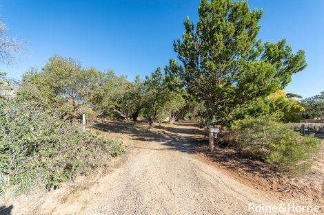 Property photo of 9 Hamburg Road Willyaroo SA 5255