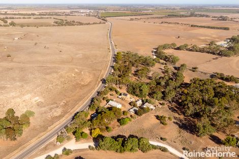 9 Hamburg Rd, Willyaroo, SA 5255