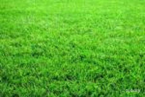 6 Brooklime Way, Wallan, VIC 3756