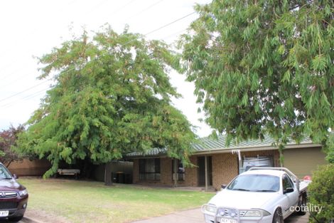 6 Vivien Ave, Newton, SA 5074