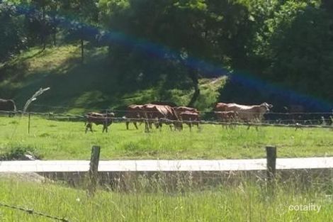 203 Harper Creek Rd, Conondale, QLD 4552