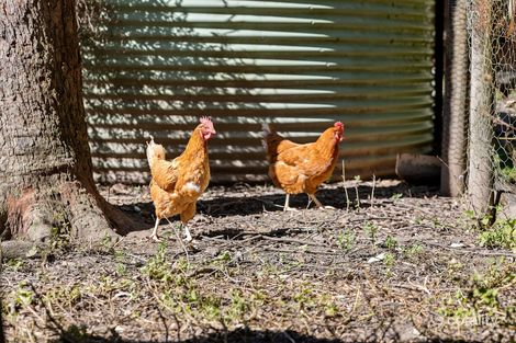 Property photo of 24 Campbells Road Cootharaba QLD 4565