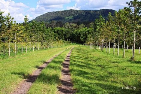 Property photo of 74 Musavale Road Eerwah Vale QLD 4562