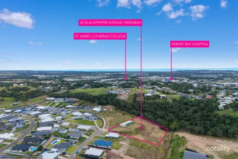 Property photo of 43 Blackpepper Avenue Nikenbah QLD 4655