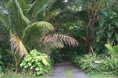 Property photo of 14 Derwent Street Trinity Park QLD 4879