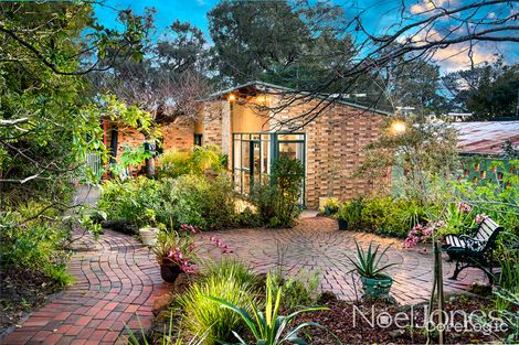 Property photo of 19 Pine Crescent Ringwood North VIC 3134