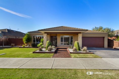 Property photo of 11 Palmgate Terrace Traralgon VIC 3844