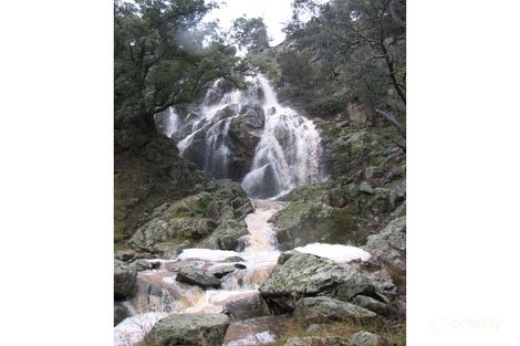 Property photo of 890 Oakhills Road Nangus NSW 2722