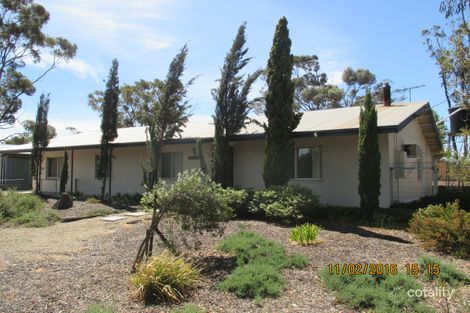 843 Coalfield Rd, Naturi, SA 5259