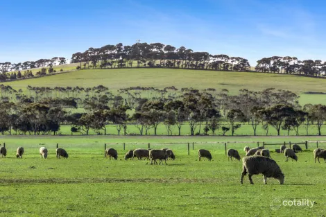 2125 Barrabool Rd, Mount Moriac, VIC 3240