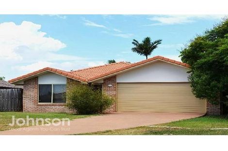 Property photo of 21 Scottsdale Street Raceview QLD 4305