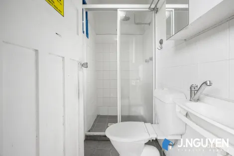 Property photo of 20 Phillip Avenue Cabramatta NSW 2166