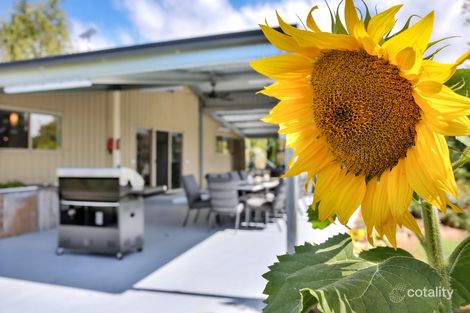 Property photo of 29 Bindaree Road Lochiel NSW 2549