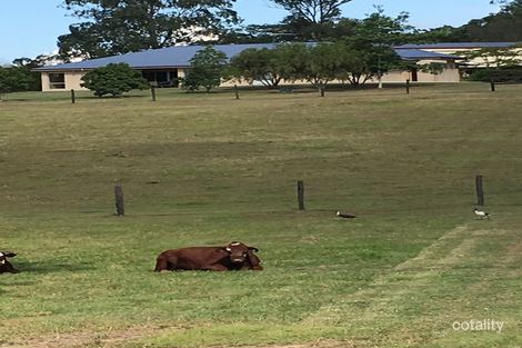 Property photo of 55-67 McConnell Road Wamuran QLD 4512