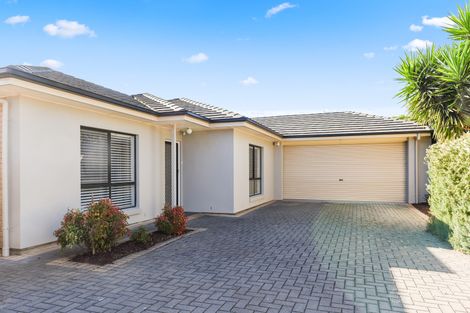 Property photo of 8A Carramar Avenue Edwardstown SA 5039