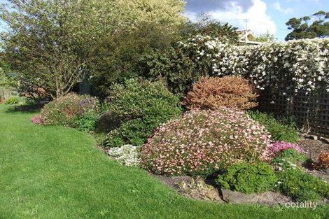 Property photo of 15 Gibbons Street Wynyard TAS 7325