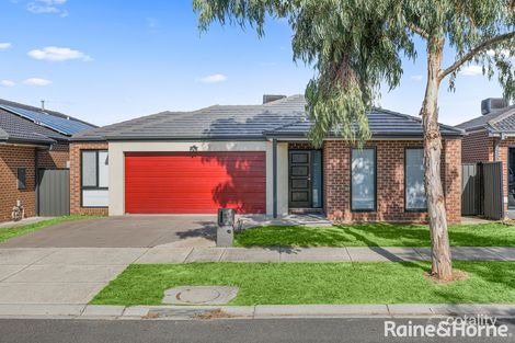 Property photo of 81 Biltmore Crescent Roxburgh Park VIC 3064