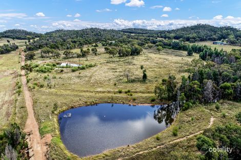 334 Belowrie Rd, Tomingley, NSW 2869