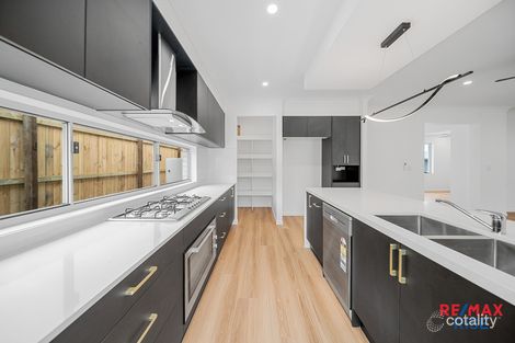 Property photo of 3 Blencoe Street Yarrabilba QLD 4207