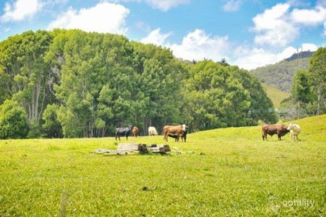 Property photo of 2 Ringtail Road Stokers Siding NSW 2484