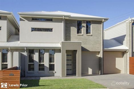 2b Regan Ave, Morphettville, SA 5043