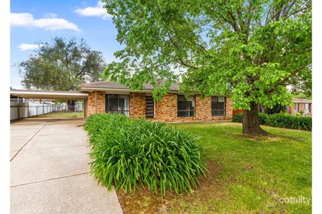 Property photo of 52 Cutler Avenue Kooringal NSW 2650