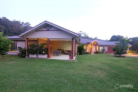 Property photo of 291 Sunny Corner Road Bellingen NSW 2454