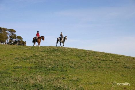 Property photo of 150 Sandy Road Fingal VIC 3939