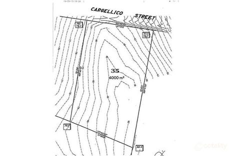 Property photo of 13 Cargellico Street Maudsland QLD 4210