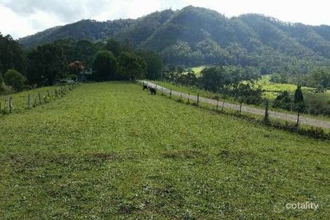 207 Mighell Rd, Yarrahapinni, NSW 2441