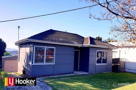 Property photo of 138 Flagstaff Road Warrawong NSW 2502