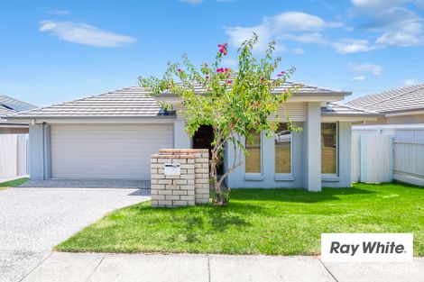 Property photo of 74 Falkland Street West Heathwood QLD 4110