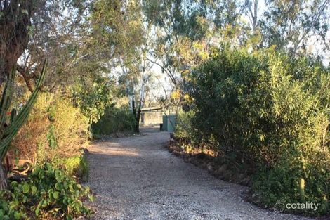 Property photo of LOT 1 Rain Tree Avenue Sapphire Central QLD 4702