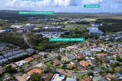 Property photo of 20 Columbia Street Sippy Downs QLD 4556