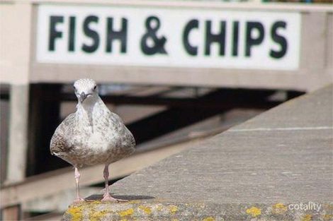Property photo of 818 High Street Epping VIC 3076