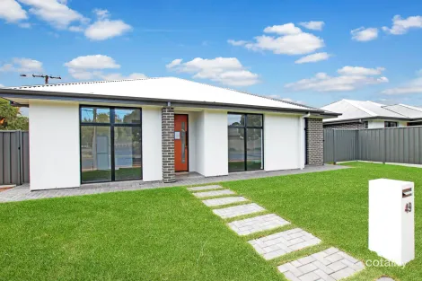 Property photo of 49 Macarthur Avenue Warradale SA 5046