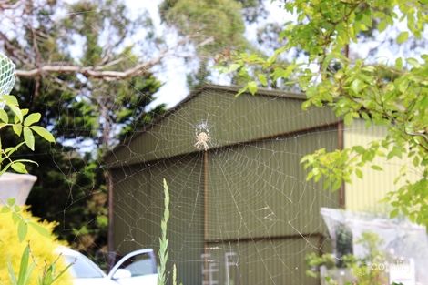 Property photo of 47 Nursery Road Macedon VIC 3440